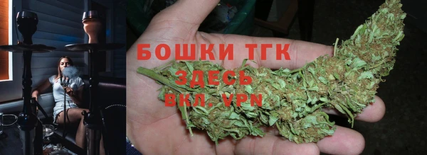 spice Богородицк